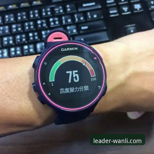 万利体育平台v3.0.0新版本使用指南：从安装到进阶的完整评测